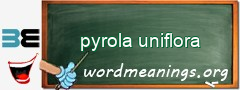 WordMeaning blackboard for pyrola uniflora